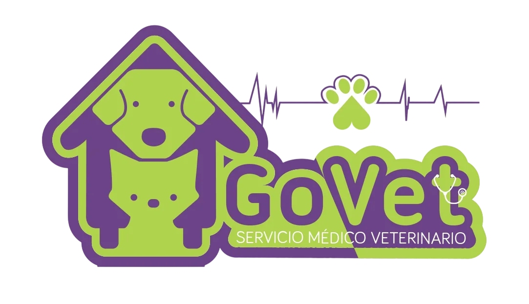 GoVet Servicio Médico Veterinario